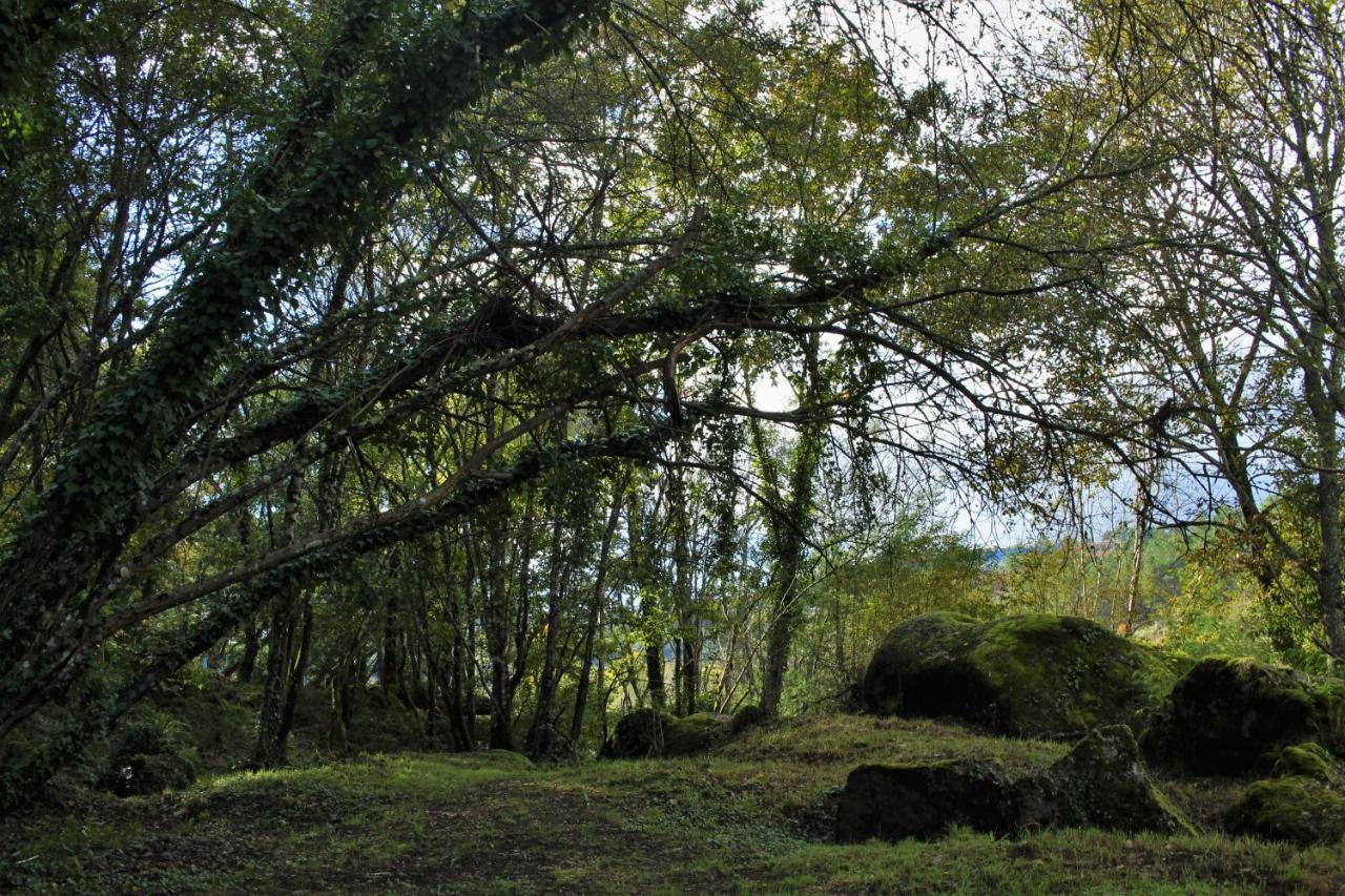 5ª D'Azenha - River And Nature Amarante Bagian luar foto