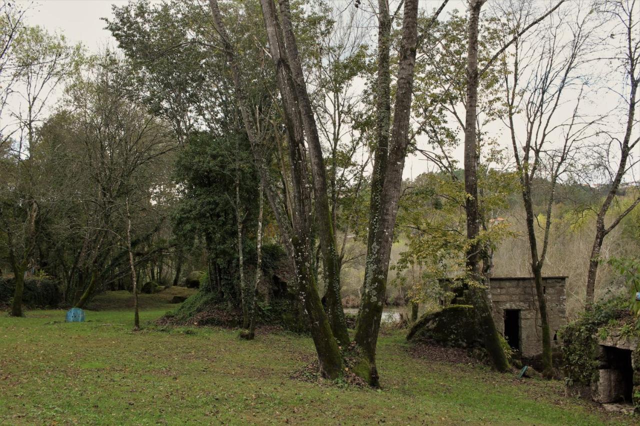 5ª D'Azenha - River And Nature Amarante Bagian luar foto